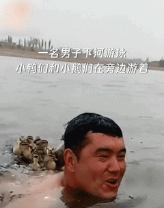 79a00895ly1gf4i65x9wyg206o08f7wj.gif