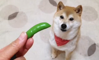 src=http___picture.ik123.com_uploads_allimg_190621_4-1Z621153219.gif&refer=http___picture.ik123.gif