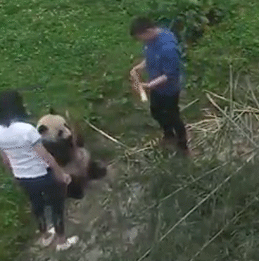 src=http___5b0988e595225.cdn.sohucs.com_images_20180618_385f1e2d3dc8466c9f3d248633b14e38.gif&refer=http___5b0988e595225.cdn.sohucs.gif