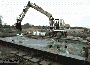 src=http___5b0988e595225.cdn.sohucs.com_images_20171222_a4403f5b1c2d4da886e0f2ef89435ad2.gif&refer=http___5b0988e595225.cdn.sohucs.gif