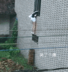 a22acdce8a.gif