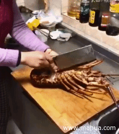 a51237108d.gif