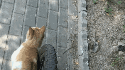 d4f2fd4b89.gif