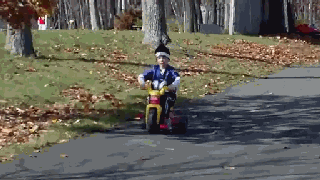 1640860100530867.gif b736058d7d.gif