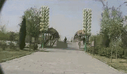 be599661f2.gif