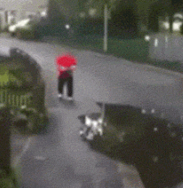 d65dd13600.gif