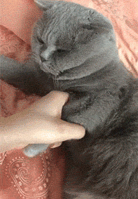 202201052102216024.gif
