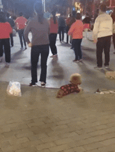 202111112200202579.gif