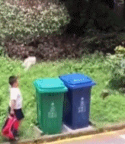 202108272337525060.gif