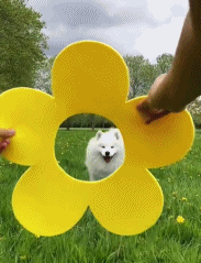 202201221648058132.gif
