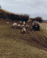 202201221645530038.gif