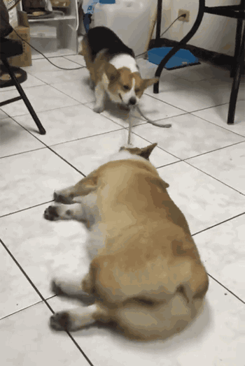 202112081834462059.gif