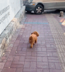202112081712172161.gif