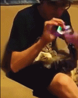202112081711205281.gif