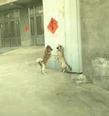 202111252223345174.gif