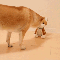 1646286433211333.gif 202108241614148986.gif