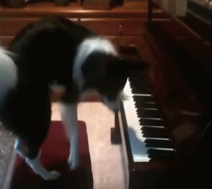 4.gif