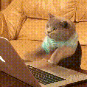 202108241600439861.gif