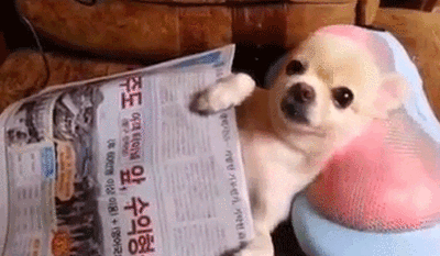 202108241603325791.gif