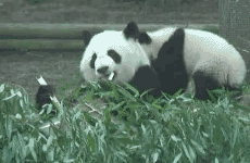 201201071120205433.gif