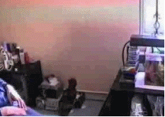 201201052347460381.gif