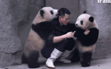 src=http___p4.itc.cn_images01_20210110_daf7877cca21486c8ded5806133d2c42.gif&refer=http___p4.itc.gif