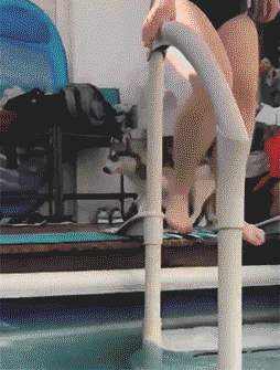 ChMkJ1w8OmOIKNUaABxgSn1_o4AAAuXzAEohgYAHGBi660.gif