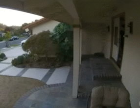 1651038432157997.gif zr725.gif