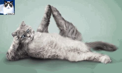 1651149967525986.gif 201202171911463742.gif