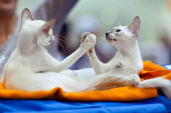 201202190934357128.jpg