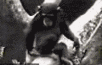 201202021822009109.gif