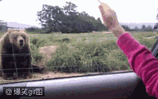 201201291317458405.gif