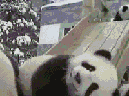 201201281112598975.gif