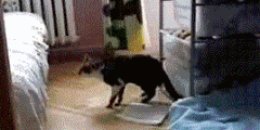 201201240035122455.gif
