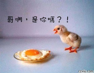 201201191900148348.jpg