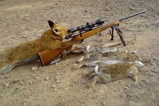 201201161214475641.jpg