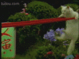 201201081020482097.gif