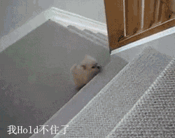201112291020098229.gif