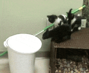 201112221121589951.gif