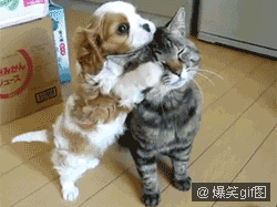 201112200119159646.gif