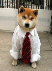 201112080639574461.jpg