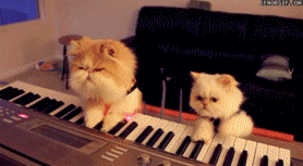 1652279495944081.gif 201111242153515598.gif