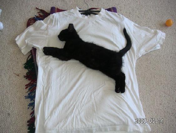 201111212322335150.jpg