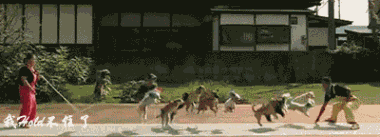 201111211611199429.gif