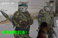 201111071100220375.gif