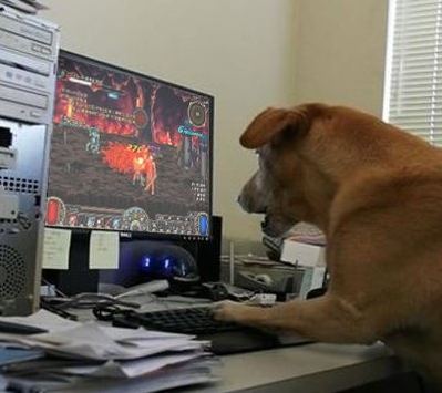 201110151228394509.jpg