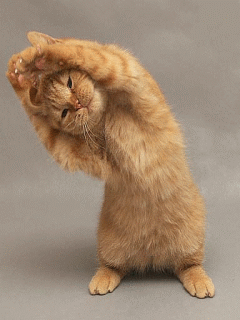 201110151227052209.gif