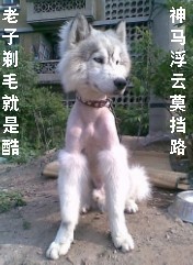 201110110935297898.jpg