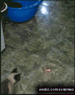 201109221025577810.gif