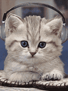 201109201210099761.gif